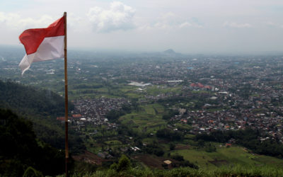 Indonesian Civil Society: Struggling to Survive